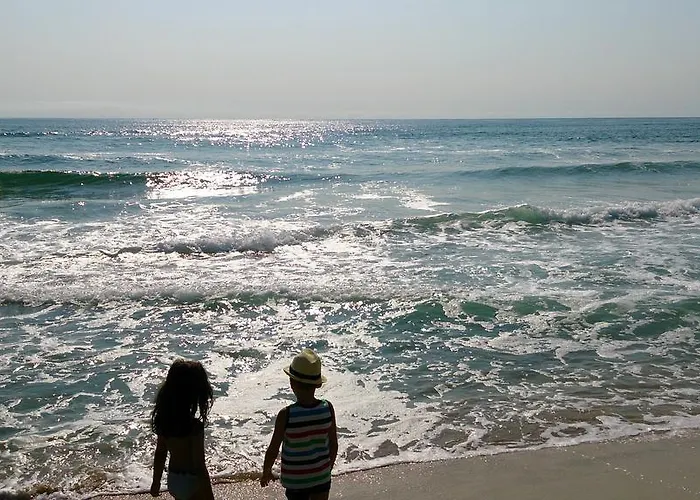 Nedev's In Kavatsi Area *